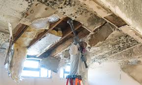 Best Post-Construction Mold Inspection in USA